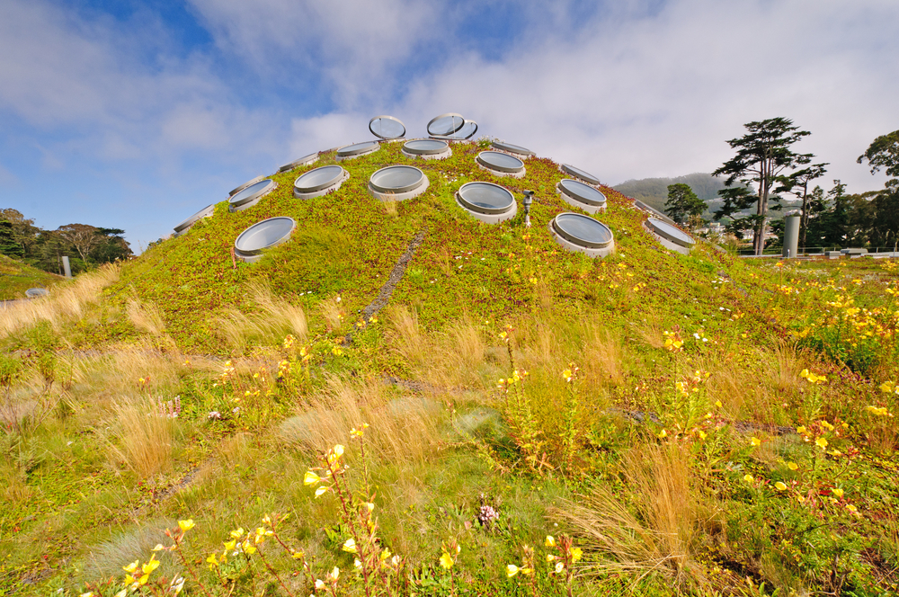 #1 The California Academy of Sciences Living Roof