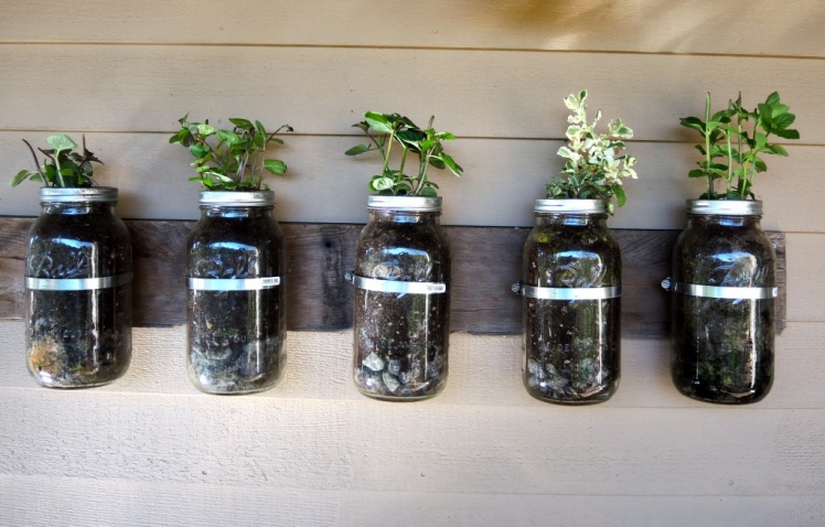 Mason Jar Herb Garden