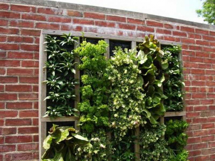 Vertical Garden Wall