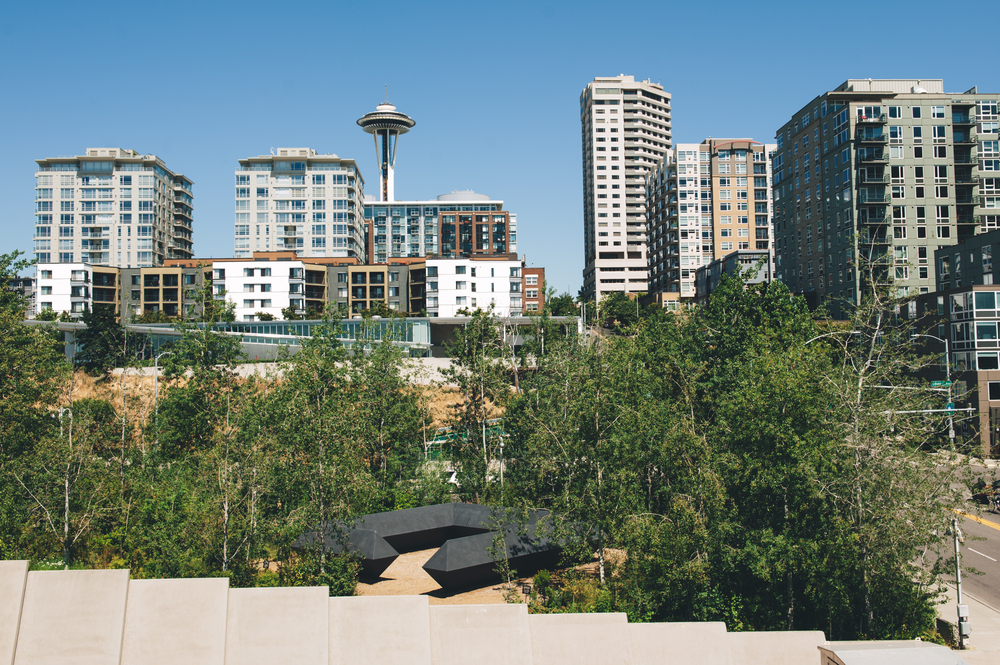 #6 Olympic Sculpture Park, Seattle